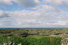 ml-aran-islands-fields